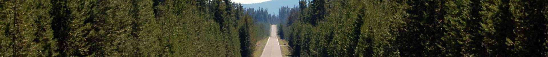 Search Page Optimization